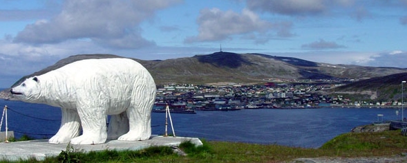 white-bear-Hammerfest