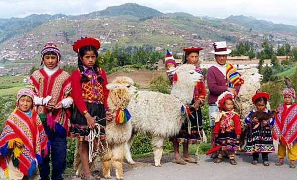 peru-llama